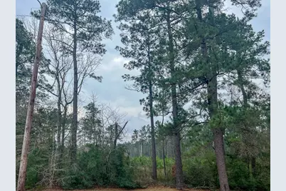 3 Union Springs Road, Corrigan, TX 75939 - Photo 9