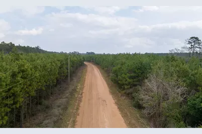 3 Union Springs Road, Corrigan, TX 75939 - Photo 17