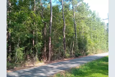 0 Piney Lane, Coldspring, TX 77331 - Photo 5