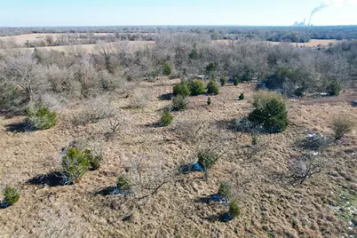 002 Prairie Groove Road, Bremond, TX 76629 - Photo 17