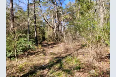 00 Coaltown Road, Willis, TX 77301 - Photo 11