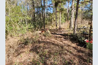 00 Coaltown Road, Willis, TX 77301 - Photo 15