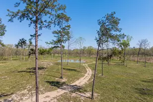 Lot 6 Johnson Dr, Livingston, TX 77351 - Photo 1