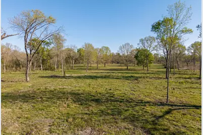 Lot 6 Johnson Drive, Livingston, TX 77351 - Photo 3