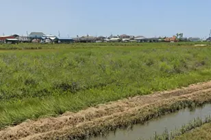 1290 N North Tinkle Ln, Crystal Beach, TX 77650 - Photo 1