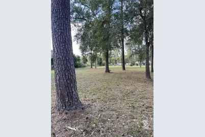 27110 Cherokee Lane, Magnolia, TX 77354 - Photo 5