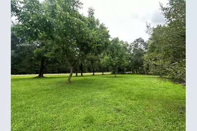 1300 Fm 3460 Road, Shepherd, TX 77371 - Photo 11