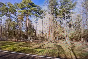 16071 FM252, Kirbyville, TX 75956 - Photo 1