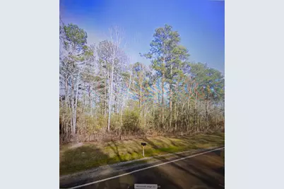 16071 Fm 252, Kirbyville, TX 75956 - Photo 3