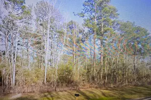 16071 FM252, Kirbyville, TX 75956 - Photo 3