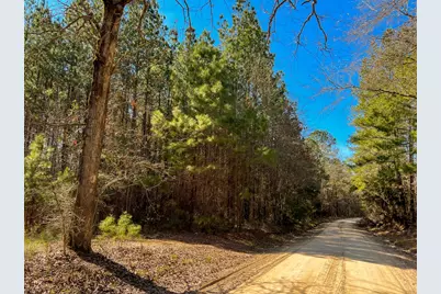 00 Howell Road, Corrigan, TX 75939 - Photo 1