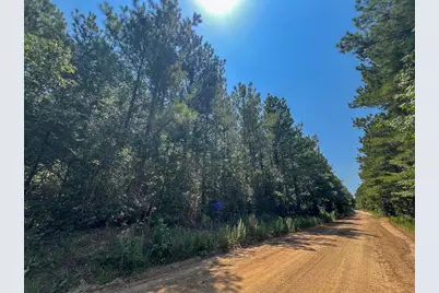 1 Fm 256, Colmesneil, TX 75938 - Photo 3