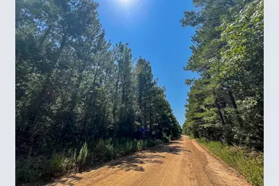 1 Fm 256, Colmesneil, TX 75938 - Photo 5