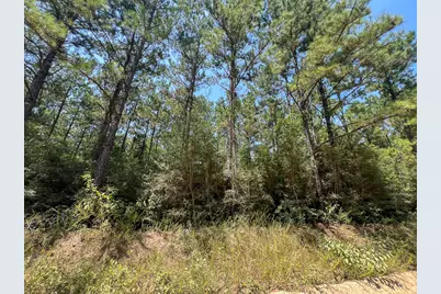 1 Fm 256, Colmesneil, TX 75938 - Photo 9