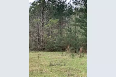 9470 US 96 S Hwy 96, Kirbyville, TX 75956 - Photo 9