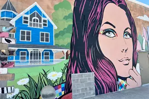 1318 Bingham St, Houston, TX 77007 - Photo 29