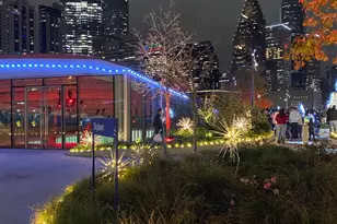 1318 Bingham St, Houston, TX 77007 - Photo 31