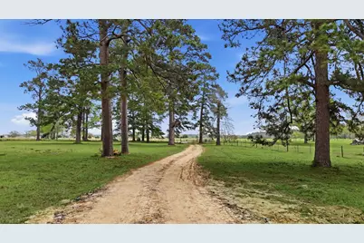 882 Four Notch Road, Huntsville, TX 77340 - Photo 5