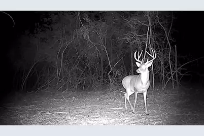 15147 County Road 499, Normangee, TX 77871 - Photo 23