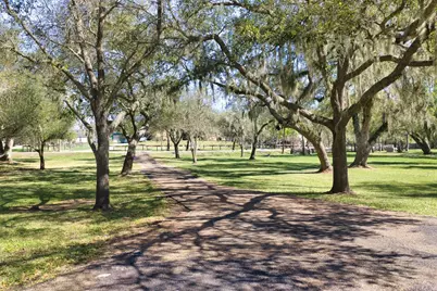 319 Buffalo Trail, Lake Jackson, TX 77566 - Photo 37