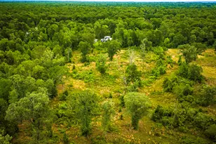 461 Fm 980 N, Point Blank, TX 77364 - Photo 37