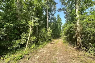 126 Pr 6790, Colmesneil, TX 75938 - Photo 17