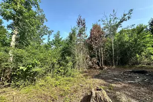 126 Pr 6790, Colmesneil, TX 75938 - Photo 19