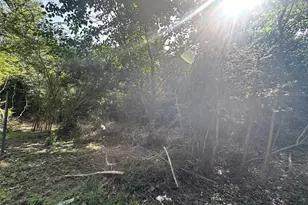 126 Pr 6790, Colmesneil, TX 75938 - Photo 25
