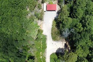 150 McBride Trl, Coldspring, TX 77331 - Photo 1
