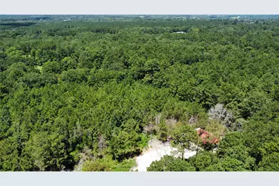 150 McBride Trail, Coldspring, TX 77331 - Photo 3