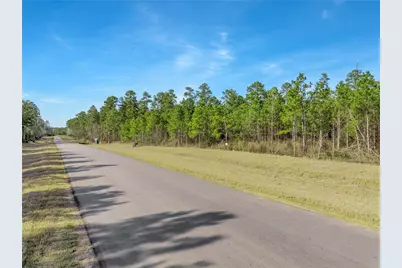 15762 Wood Grove Way, Willis, TX 77378 - Photo 7