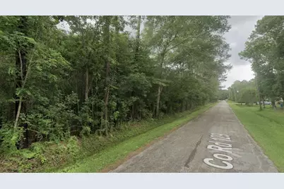 Lot1 County Road 129, Liberty, TX 77575 - Photo 3