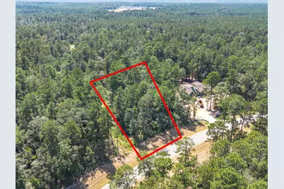 15621 Wood Grove Way, Willis, TX 77378 - Photo 3