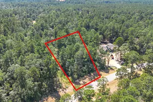 15621 Wood Grv Wy, Willis, TX 77378 - Photo 3