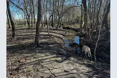 42 Acres Ganske Road, Burton, TX 77835 - Photo 37