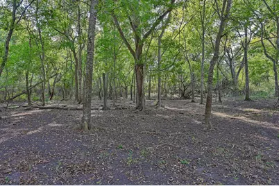 42 Acres Ganske Road, Burton, TX 77835 - Photo 37