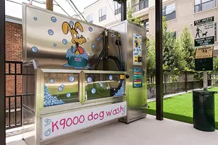 3788 Richmond Ave., Houston, TX 77046 - Photo 19