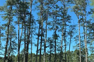 6274 Alder Creek Dr, Montgomery, TX 77316 - Photo 35