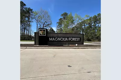 6274 Alder Creek Drive, Montgomery, TX 77316 - Photo 1