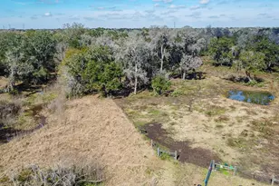 3992 County Rd 244, Brazoria, TX 77422 - Photo 31