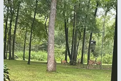 141 Walnut Loop Loop, Shepherd, TX 77371 - Photo 31