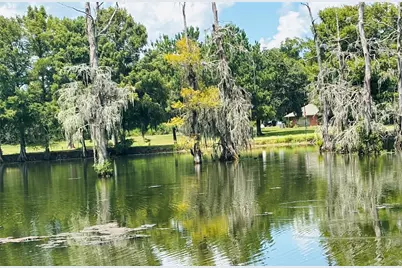 141 Walnut Loop Loop, Shepherd, TX 77371 - Photo 27