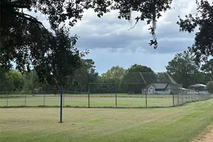 141 Walnut Loop Loop, Shepherd, TX 77371 - Photo 25