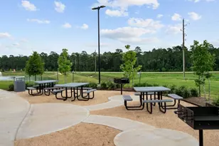 24338 Ponds Creek, Magnolia, TX 77355 - Photo 19