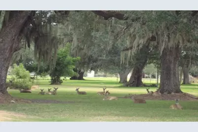 382 Pony Trail, Angleton, TX 77515 - Photo 5