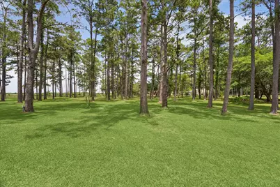 4803 County Road 197, Alvin, TX 77511 - Photo 35