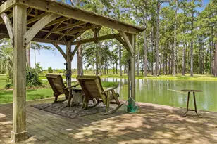 4803 County Rd 197, Alvin, TX 77511 - Photo 33