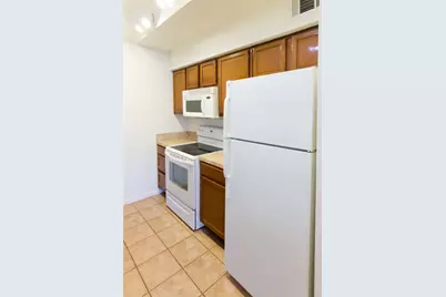 2121 El Paseo Street #1706, Houston, TX 77054 - Photo 7