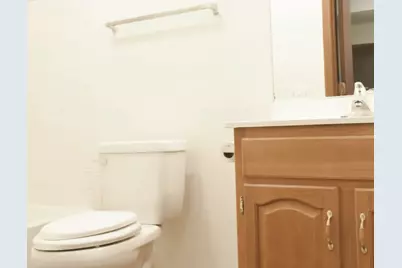 839 S Clinton St, Stockbridge, MI 49285 - Photo 19