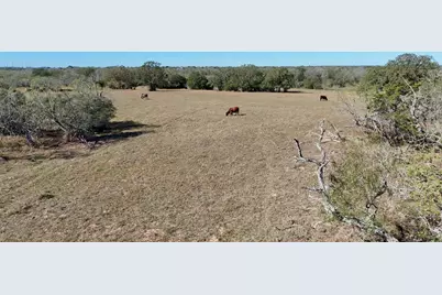 Tract 2 County Road 283, Harwood, TX 78632 - Photo 5